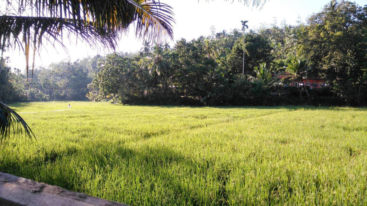 Villa Paddy Fields View Мирисса Экстерьер фото